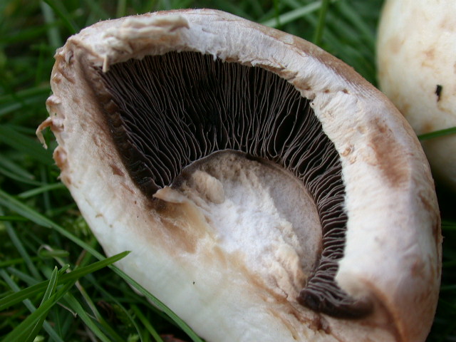 Tre elementi particolari ... QUIZ